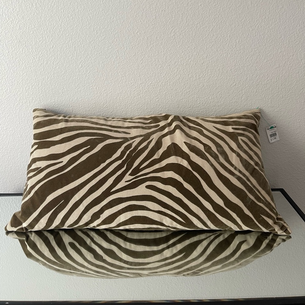 zebra print bed/couch pillow from Goodwill (unused)
